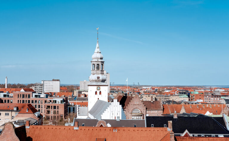 Photo of the Aalborg Skyline