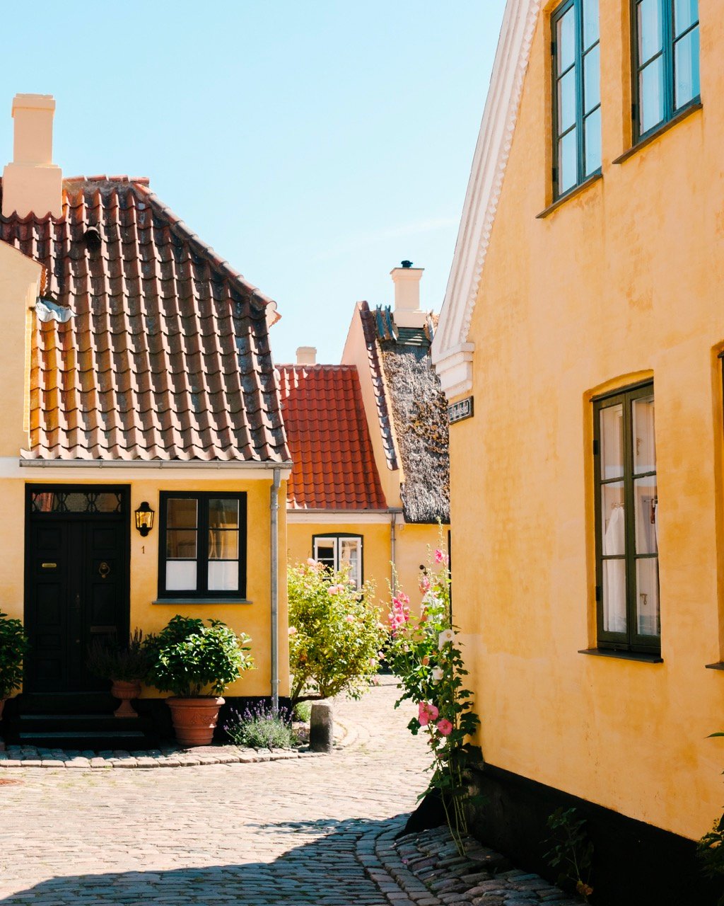 Photo of yellow houses in Dragør, Denmark, during the summer