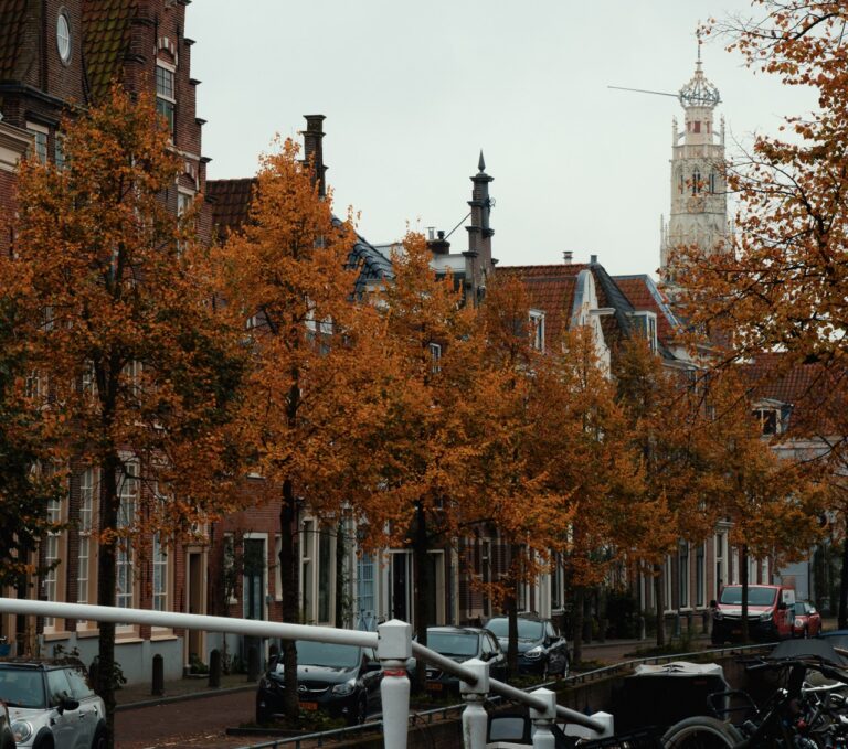 Autumn leaves in Haarlem, Netherlands