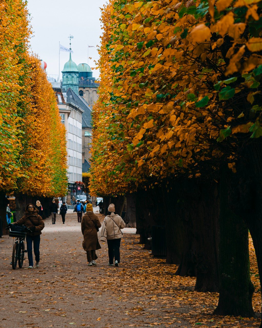 Photo showing two friends walking next to each other in Kongens Have during the autumn