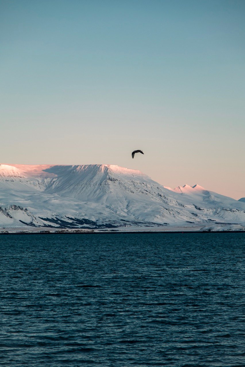 A photo of Mount Esja in Reykjavik During the Winter