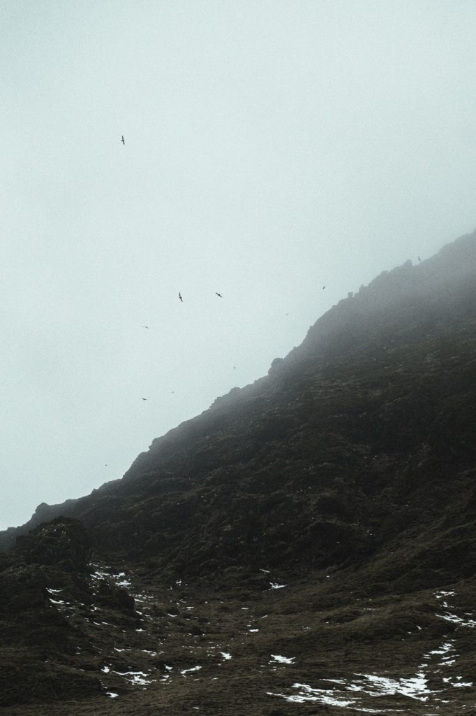 A foggy mountain in Iceland with birds circling