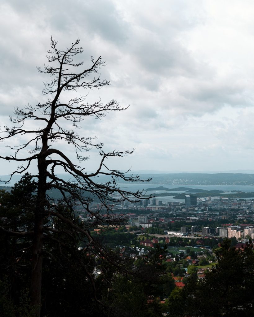 A view of Downtown Oslo, Norway, from a hill
